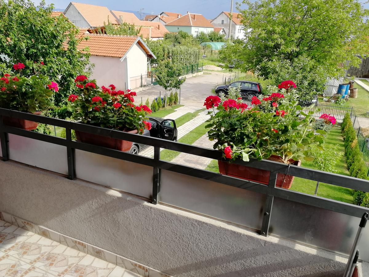 Apartments "Predah Kod Baraca" Nis Ngoại thất bức ảnh
