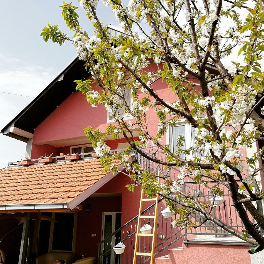 Apartments "Predah Kod Baraca" Nis Ngoại thất bức ảnh